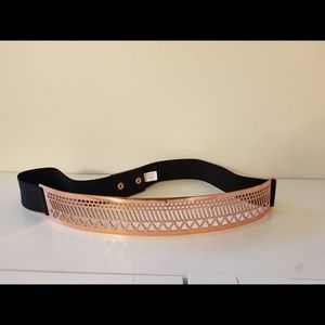 Eloquii copper metal belt 18/20. Cute!